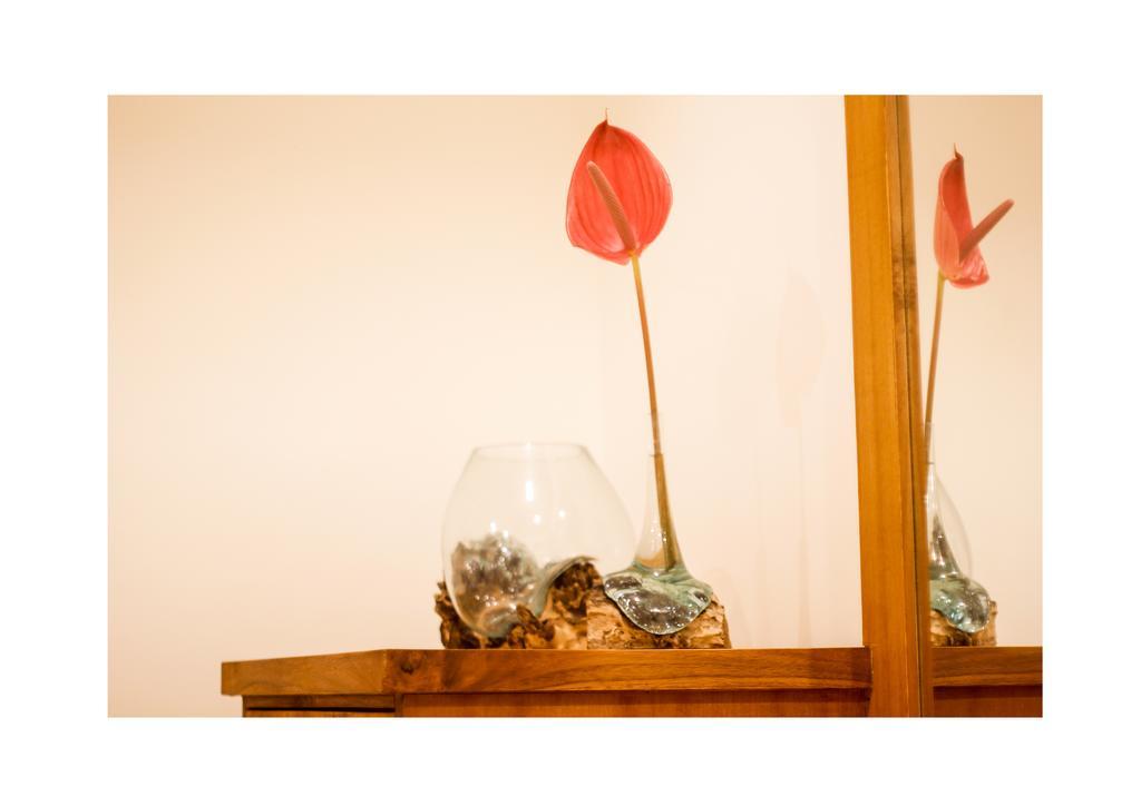Oes House Apartment อูบุด ภายนอก รูปภาพ