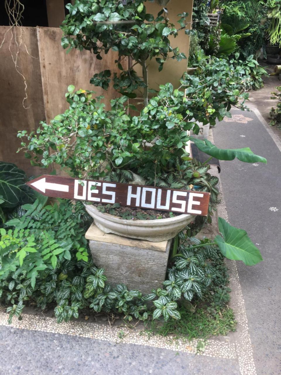 Oes House Apartment อูบุด ภายนอก รูปภาพ